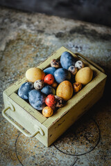 assortment of Easter dyed eggs on shabby vintage background, festive gift card