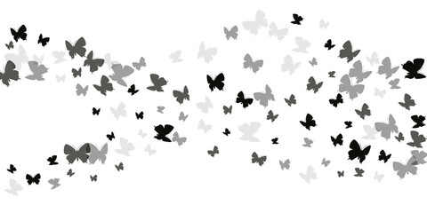 Fairy black butterflies isolated vector illustration. Summer beautiful insects. Simple butterflies isolated fantasy wallpaper. Delicate wings moths patten. Garden creatures.