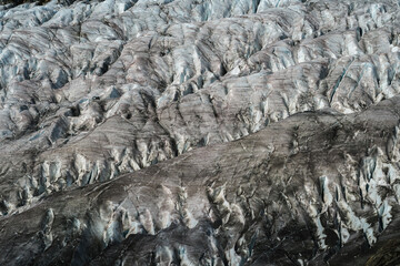 Gletscher ganz nah