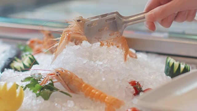 A close-up look of fresh raw shrimps on ice picked with love by chef for preparing a delicious meal.