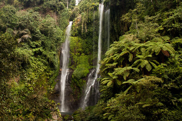 Fototapeta na wymiar The tropical landscape of Sekumpul Waterfall in Bali, Indonesia