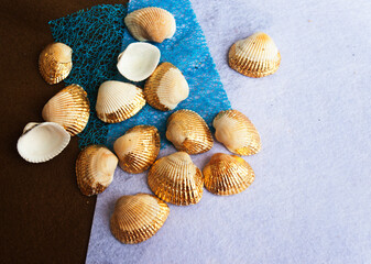 Seashells with gold leaf on a felt .  Candid.