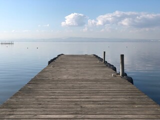 Fototapeta premium muelle de madera en la Albufera de Valencia