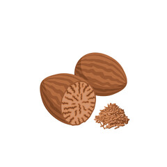 Nutmeg nut and powder. Vector illustration of cartoon flat icon isolated on white.