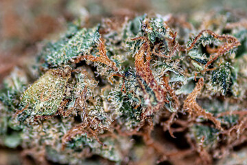 weed