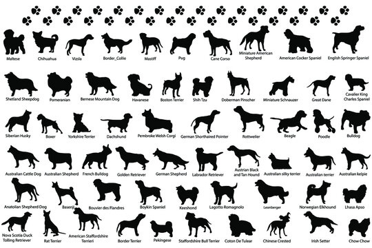 Dog silhouette Black Bundle files with names