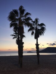 Fototapeta na wymiar Atardecer con el cielo anaranjado y rosado en la playa cerca de la orilla del mar con la silueta de las palmeras