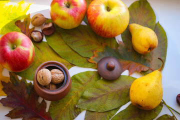 Naklejka na ściany i meble Autumn still life. Leaves, nuts, apples and a clay jug