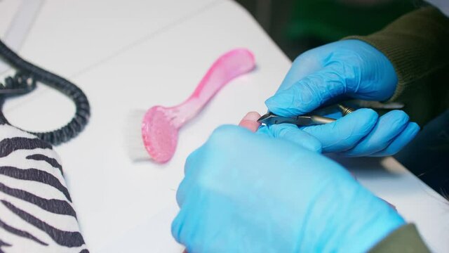 Manicurist uses metal nippers to remove dry skin of cuticle around nails. Processe of manicure.