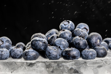 Fresh blueberry on big ice cube