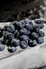 Fresh blueberry on big ice cube