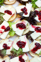 Camembertbrötchen mit Preiselbeeren