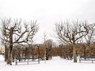 Winter on a park bench
