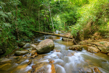 Naklejka na ściany i meble Beautiful stream in tropical forest in Chae Son National Park, Lampang, Thailand