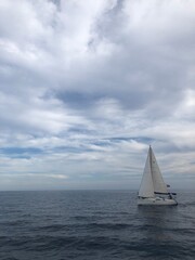 Fototapeta premium regata de veleros en Formentera