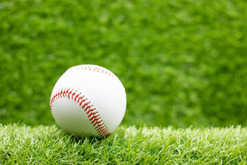 Basketball is on green grass with happy birthday sign