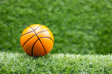 Basketball is on green grass 