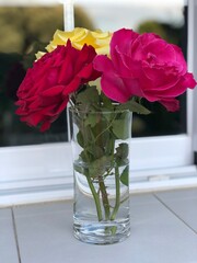 flor, florero, ramo, rosa, rosa, flor, rojo, rosa, aislada, blanco, lentes, floral, beldad, naturaleza, amor, decoraciones, hermoso, verde, manojo, boda, mesa, romance, fábrica, florecer