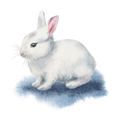 Watercolor cute white bunny Illustration on white background.