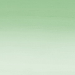 Green ink and watercolor texture on white paper background. Gradient paint strokes and decalcomania effect. Hand-painted gouache abstract image. Mess on the canvas.
