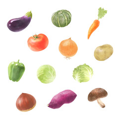 野菜のベクター水彩イラストセット