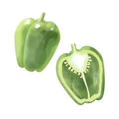 ピーマンの水彩イラスト
