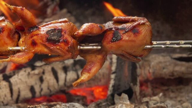 Panorama of delicious juicy quails on the skewer roasting above the open fire outdoors
