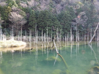 一ノ俣湖