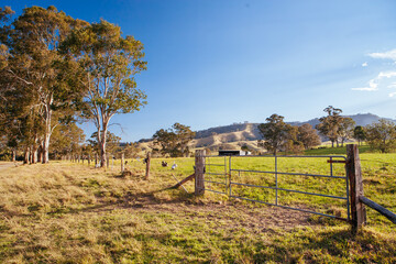 Hunter Valley Landscape in Australia