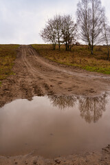 A muddy puddle and a dirt road at a moor. Picture from Revingehed, Scania county, Sweden