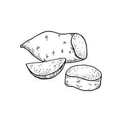 Sweet Potato tubers. Whole potatoes and cut into halves. Hand drawn vector illustration.