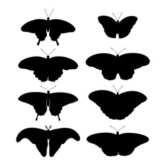 Tropical silhouette butterflies set:  Attacus Atlas, Monarch, Blue Moon, Driada (Paper Rice), Blue Morpho, Papilio, Swallowtail. Drawing insects. Hand drawn vector illustration.