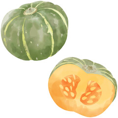 かぼちゃのベクター水彩イラスト