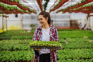 Smiling small business owner walking in greenhouse and holding crate with saplings.