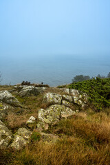 An ocean view from a steep hill a misty day. Yellow grass and stones in the foreground. Picture from Kullen nature reserve, Scania county, Sweden