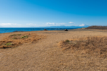 早春の葉山町の風景　小磯の鼻と富士山　2月