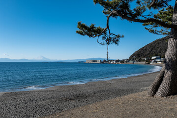 早春の葉山町の風景　一色海岸　2月