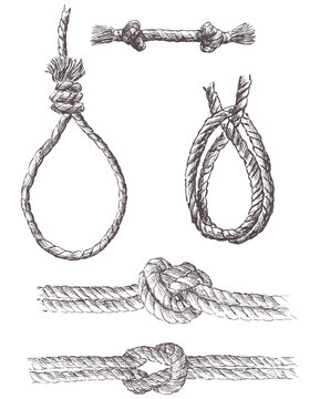 Vector image of drawn various sea knots from rigging rope