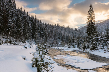Obraz premium Scenic winter sunset landscape with small winding mountain river, fluffy snow, snowy fir trees and colorful sky with clouds, outdoor travel background, Carpathian mountains