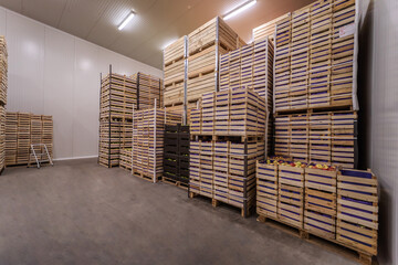 Apples and pears in crates ready for shipping. Cold storage interior.