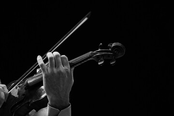 Violinist hands on black background
