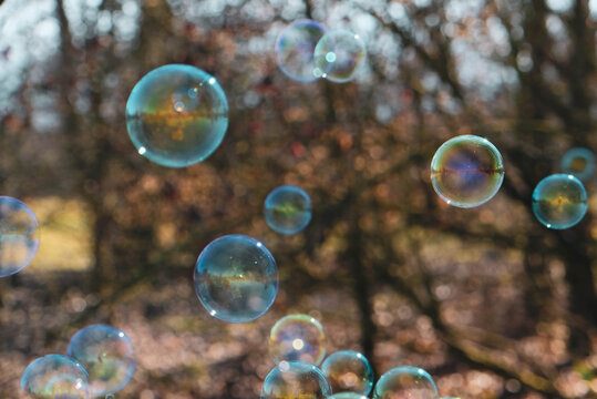 Colorful soap bubbles flying against blurred natural background, close up. Sunny day.
