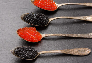 caviar of paddlefish fish and red chum salmon caviar in a spoon, black background