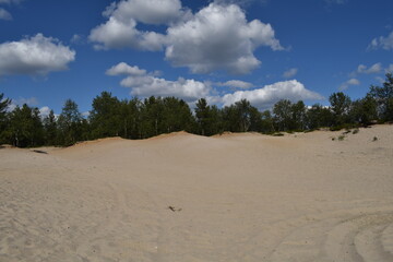 Sand dunes in the north of Russia on a sunny summer day.