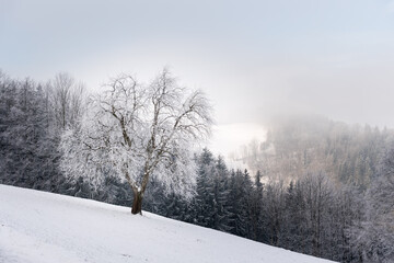 Mostviertel in winter