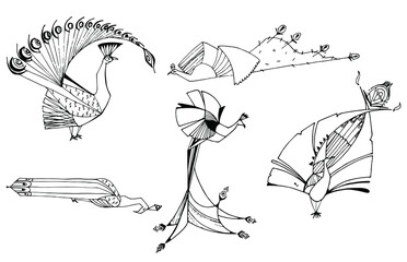 Set of cool graphics peacock