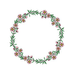 Manuka Honey branch, leaves and flower. Floral wreath. Hand drawn Vector illustration.