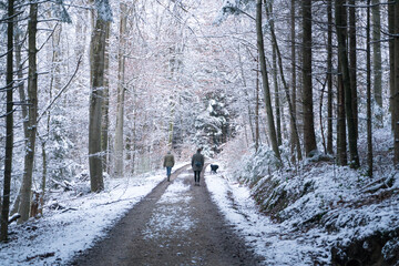 Verschneite Winterlandschaft auf der Schwäbischen Alb, Uhingen, Spaziergänger mit Hund von hinten...