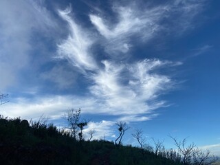 clouds over the field