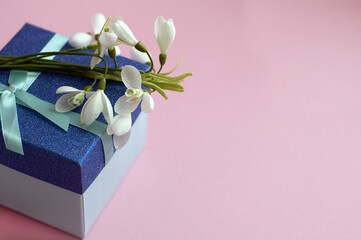gift box, bouquet of snowdrops on pink background